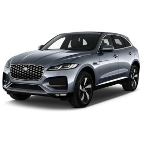 JAGUAR F-PACE WINABWEISER (2016-)