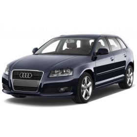   AUDI A3/S3/RS3 (8P/8PA) REZAW-PLAST GUMMI FUẞMATTEN (2003-2012)