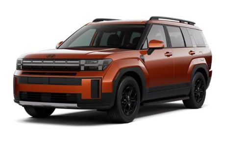 HYUNDAI SANTA FE AUTOTEPPICHE (2024-)