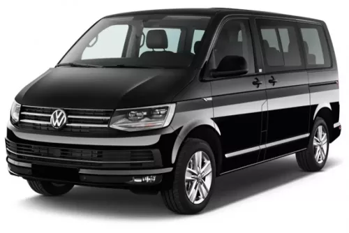 VW T6 MULTIVAN AUTO GUMMIMATTEN (2015-2019)