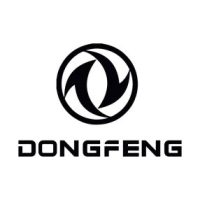 DONGFENG AUTOTEPPICHE